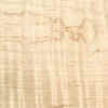 Acer macrophyllum curly maple.jpg (33677 bytes)