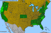Chamaecyparis Port Orford Cedar.png (84290 bytes)