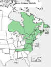 Picea Rubens Distr. map.png (35910 bytes)