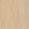 hard-maple Acer saccharum.jpg (89924 bytes)