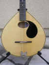 mando0003.JPG (162041 bytes)