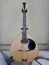 mandola02.JPG (171483 bytes)