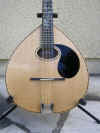 mandola03.JPG (166719 bytes)