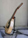 mandola07.JPG (166190 bytes)