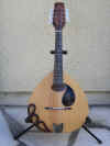mandolin02.JPG (165352 bytes)