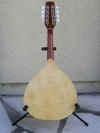 mandolin04.JPG (159997 bytes)