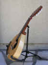 mandolin05.JPG (158398 bytes)