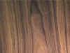 morado.jpg (8961 bytes)