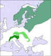 spruce%20distribution.jpg (48892 bytes)
