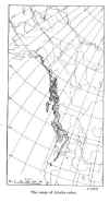 yellow alaskan cedar.jpg (28328 bytes)